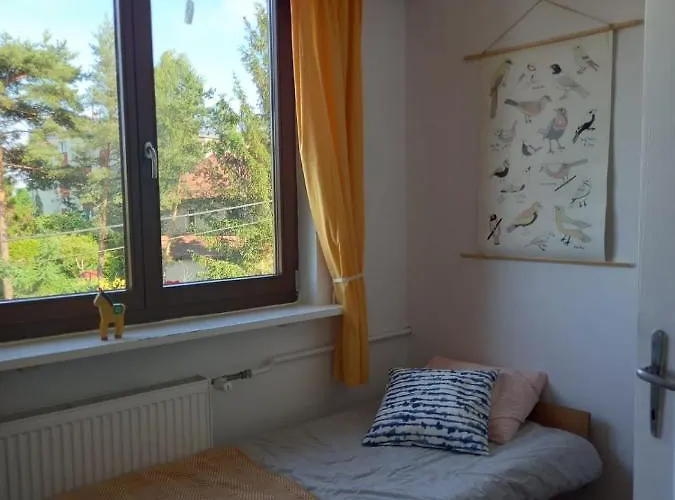 Sopocki Klimat * 索波特